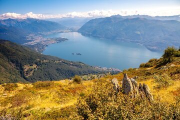 Isole di Brissago, il giardino botanico sull'acqua riapre l'estate: 4 cose da non perdere (e quanto costa davvero la gita nel 2026)