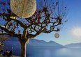 Ascona, il borgo da 11'000 franchi al metro quadro: cosa fare quest'estate sul lungolago più chic del Ticino (e quanto si spende davvero)
