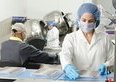 Malcantone in un giorno da Lugano: la fabbrica che sforna 8'000 tonnellate di cioccolato l'anno, il maglio ad acqua e quanto costa davvero la gita
