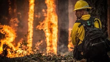 Incendio sul Monte Brè. Il Cantone vieta l'accensione di fuochi all'aperto