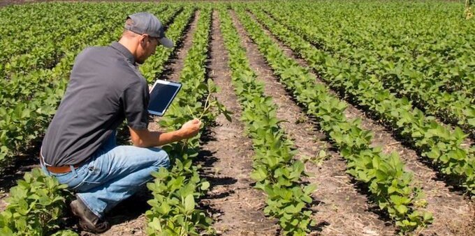 Mesi di siccità minacciano l'agricoltura in Ticino. Omar Pedrini: «Di questo passo ci aspetta un anno difficile»