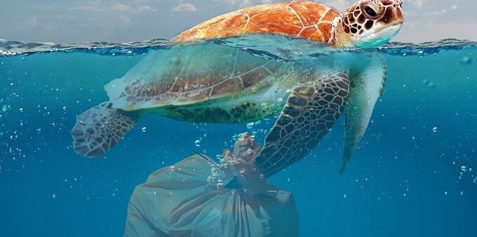 Giornata mondiale dell'ambiente: riciclare la plastica? Ecco perché è un falso mito