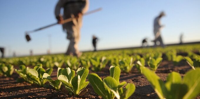 Assegni familiari, da luglio verrà sciolto il fondo per l'agricoltura