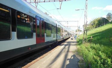 Affitti in Ticino, il crollo a sorpresa: -10,9% negli annunci, canone medio a 1'501 CHF
