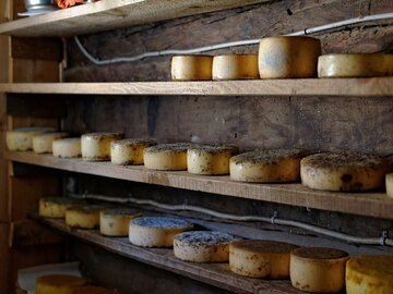 Formaggio d'alpe ticinese DOP, l'oro dell'estate: 5 alpeggi e caseifici da scoprire, quanto costa davvero al chilo e perché vale ogni franco