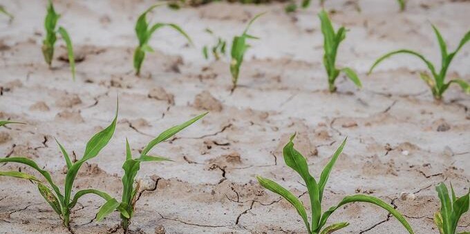Emergenza siccità: nel Canton Ticino scende in campo la Protezione civile