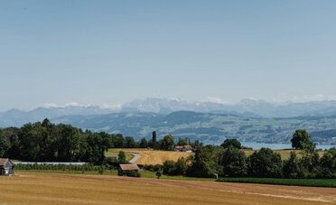Siccità in Ticino, gli agricoltori chiedono aiuti urgenti: arrivano deroghe cantonali e lo stop ai dazi sui foraggi, ma «non bastano»