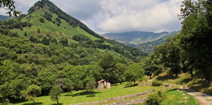 Castagne, in Ticino chi le raccoglie viene pagato da 1.50 a 3 franchi al chilo: i 4 centri di consegna e il sentiero da 11.7 km