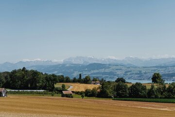 Siccità in Ticino, gli agricoltori chiedono aiuti urgenti: arrivano deroghe cantonali e lo stop ai dazi sui foraggi, ma «non bastano»