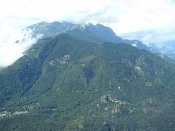 Protezione dei boschi di Arcegno e Losone, stanziati 4 milioni di franchi