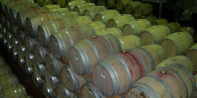 Cantine Aperte 2026 in Ticino: i 10 indirizzi del Mendrisiotto da scoprire il 16 e 17 maggio (e quanto costa davvero una bottiglia di Merlot)
