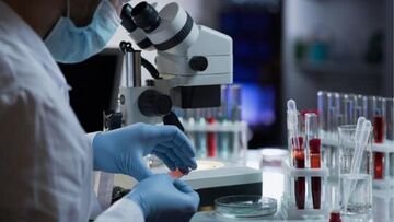 11 febbraio Giornata internazionale delle donne e delle ragazze nella scienza