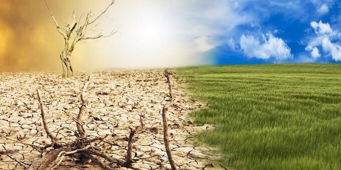 World Economic Forum: la crisi climatica è la minaccia numero uno