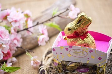 Coniglietti Lidl troppo simili a quelli della Lindt: il Tribunale Federale ne sospende la vendita
