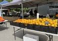 I 4 mercati del Ticino dove si fa la spesa di qualità (e quanto si spende davvero per riempire la sporta)