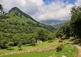 Castagne, in Ticino chi le raccoglie viene pagato da 1.50 a 3 franchi al chilo: i 4 centri di consegna e il sentiero da 11.7 km
