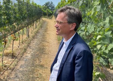 La siccità minaccia il vino del Mendrisiotto. Vitta: «Danni difficili da quantificare»