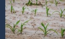 Emergenza siccità: nel Canton Ticino scende in campo la Protezione civile