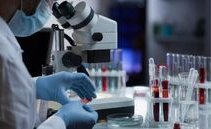 11 febbraio Giornata internazionale delle donne e delle ragazze nella scienza