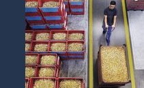 La svizzera Ruag Ammotec passa nelle mani dell'italiana Beretta Armi