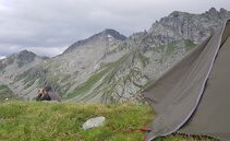 Lupo in Ticino: aiuti cantonali per tutelare gli allevatori