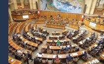 Il nazionale in aiuto delle greggi: chiesti più soldi per salvarle dal lupo