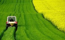 Investire nell'agricoltura? Necessario per contrastare i cambiamenti climatici