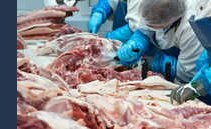 Lavorare di notte e di domenica: ecco chi può farlo e chi no