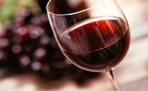 Vini del Ticino: scopri i migliori e dove degustarli