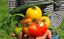 Cresce il reddito agricolo in Svizzera grazie a carne e latte