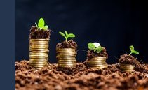 Swiss Stewardship Code, al via alla guida per gli investimenti sostenibili