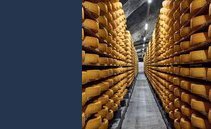 Nuovo taglio di produzione per il formaggio Gruyère. È crisi sul mercato estero