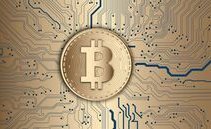 Bitcoin perde quota e crolla del 15%. Nuovo minimo al di sotto di 24'000 dollari