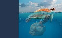 Giornata mondiale dell'ambiente: riciclare la plastica? Ecco perché è un falso mito