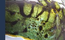 Moving knots across strings, la mostra di Dominique Koch a Lugano