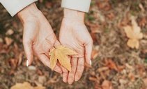 Equinozio d'autunno 2022, quand'è e come si spiega?