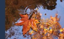 GUARDA! è tornata. La fiera d'autunno di Coira si ripresenta dopo due anni di pandemia