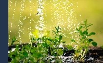 Giornata mondiale dell'acqua: la siccità mette a rischio la disponibilità idrica anche in Ticino. Ecco come ridurre gli sprechi