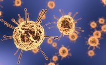 Scoperta l'origine della pandemia di Covid-19: la conferma su Science