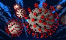 Il Covid-19 non è più una minaccia. L'OMS decreta la fine dell'emergenza sanitaria