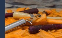 Lugano porta la raccolta dell'umido in città. Al via un progetto pilota