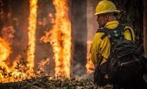 Incendio sul Monte Brè. Il Cantone vieta l'accensione di fuochi all'aperto
